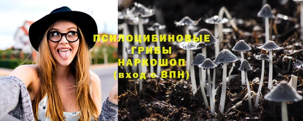 крисы Алексеевка
