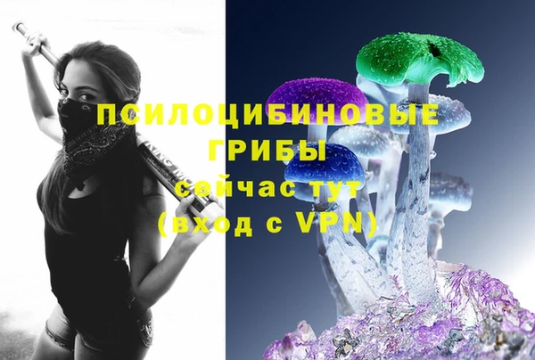 крисы Алексеевка