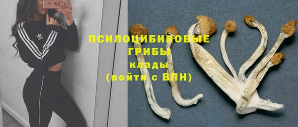сатива Алексин