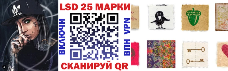 Наркотические марки 1500мкг kraken рабочий сайт Новозыбков где продают
