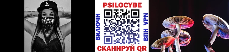 как найти   Новозыбков  Галлюциногенные грибы прущие грибы 