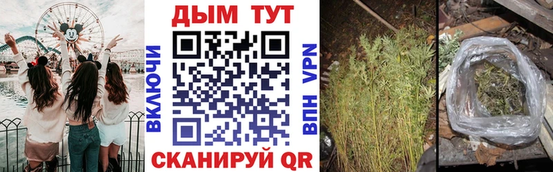 МАРИХУАНА план  Новозыбков 